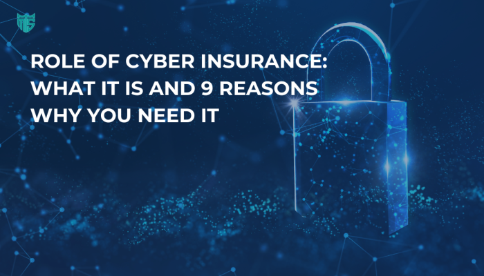 Role of Cyber Insurance What It Is and 9 Reasons Why You Need It